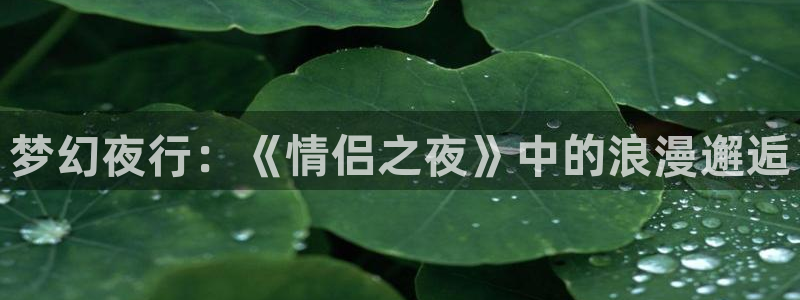 抖漫黄：梦幻夜行：《情侣之夜》中的浪漫邂逅